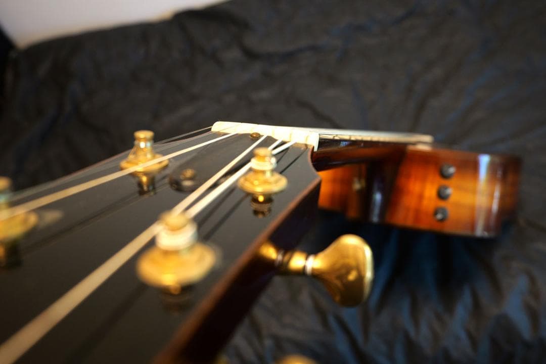 TAYLOR Koa 12-FRET GC-LTD ハワイアンコアオール単板