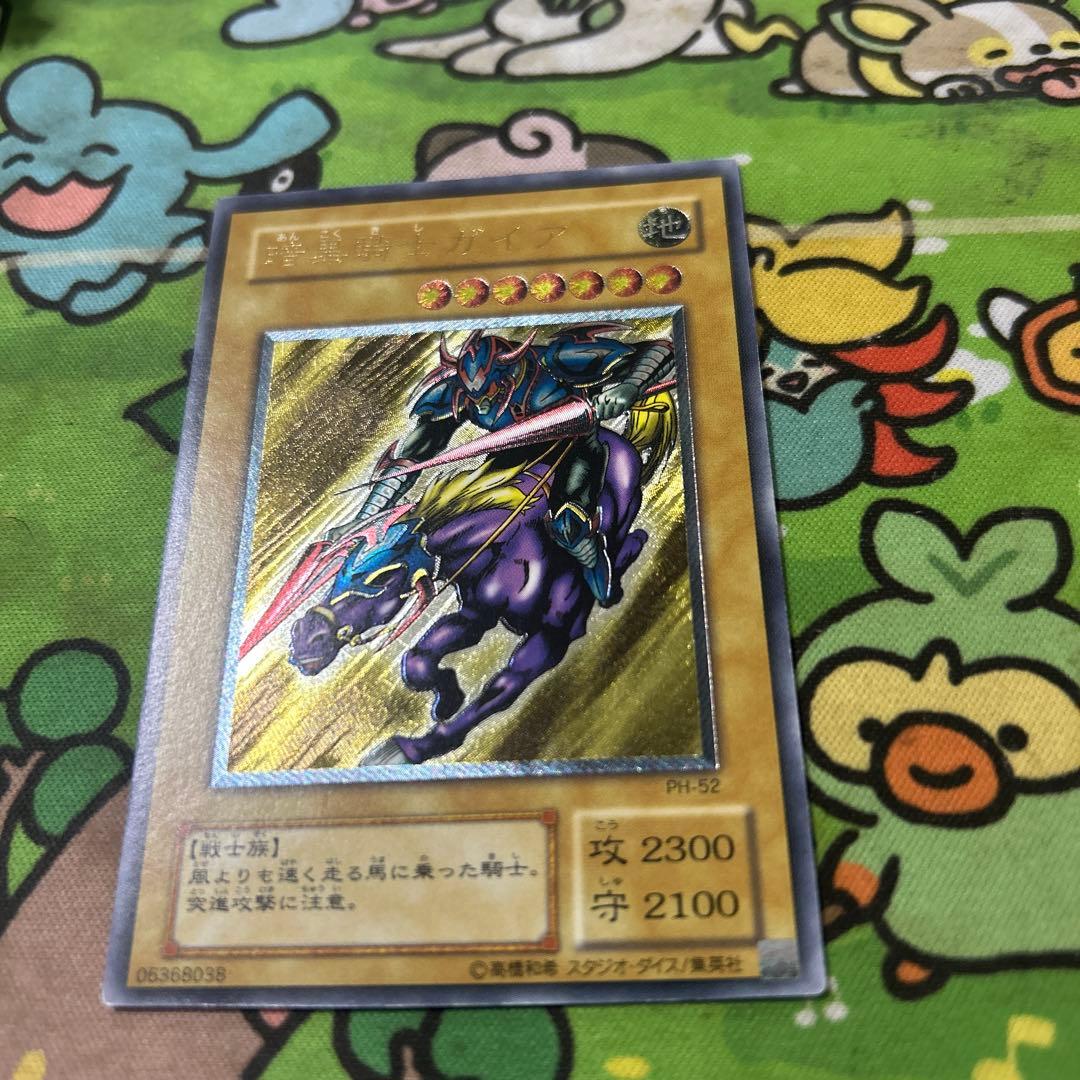 最安値出品　ガードナーはおまけ