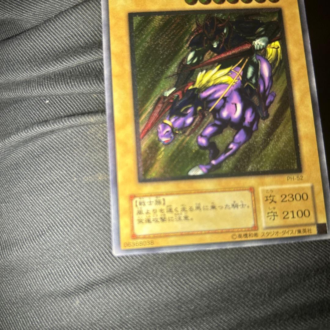 最安値出品　ガードナーはおまけ