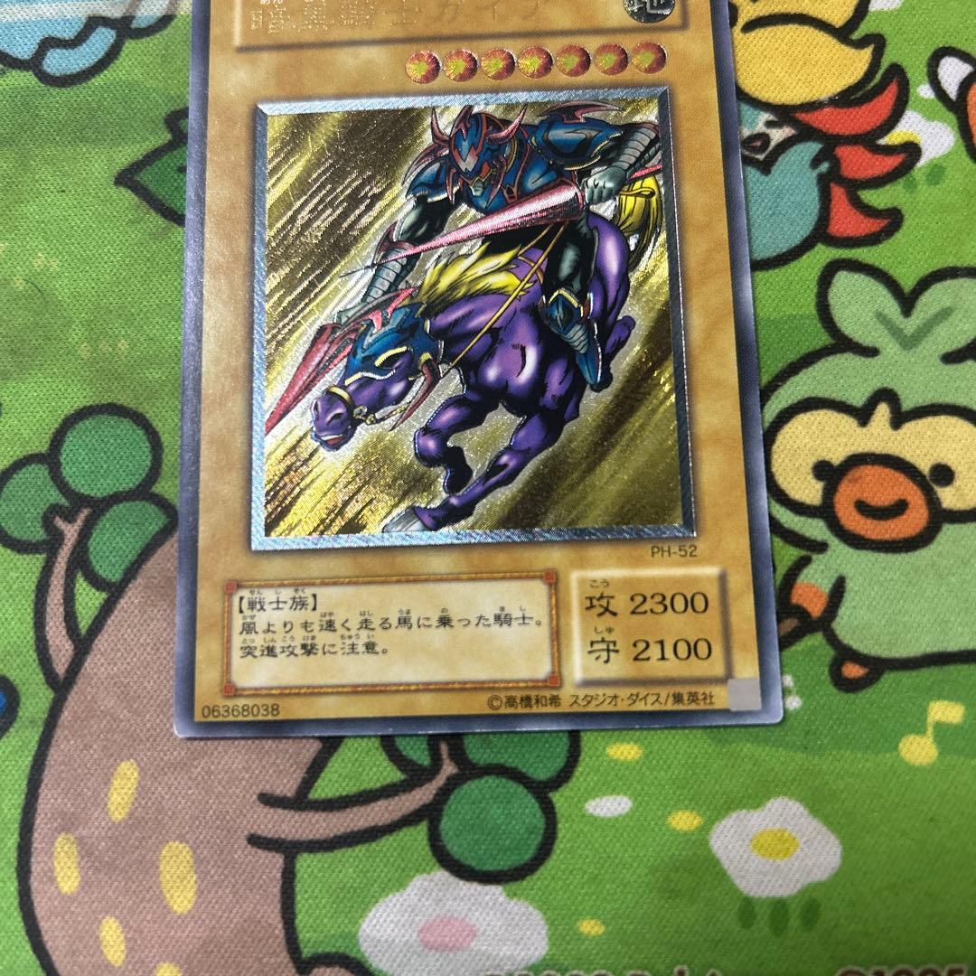 最安値出品　ガードナーはおまけ