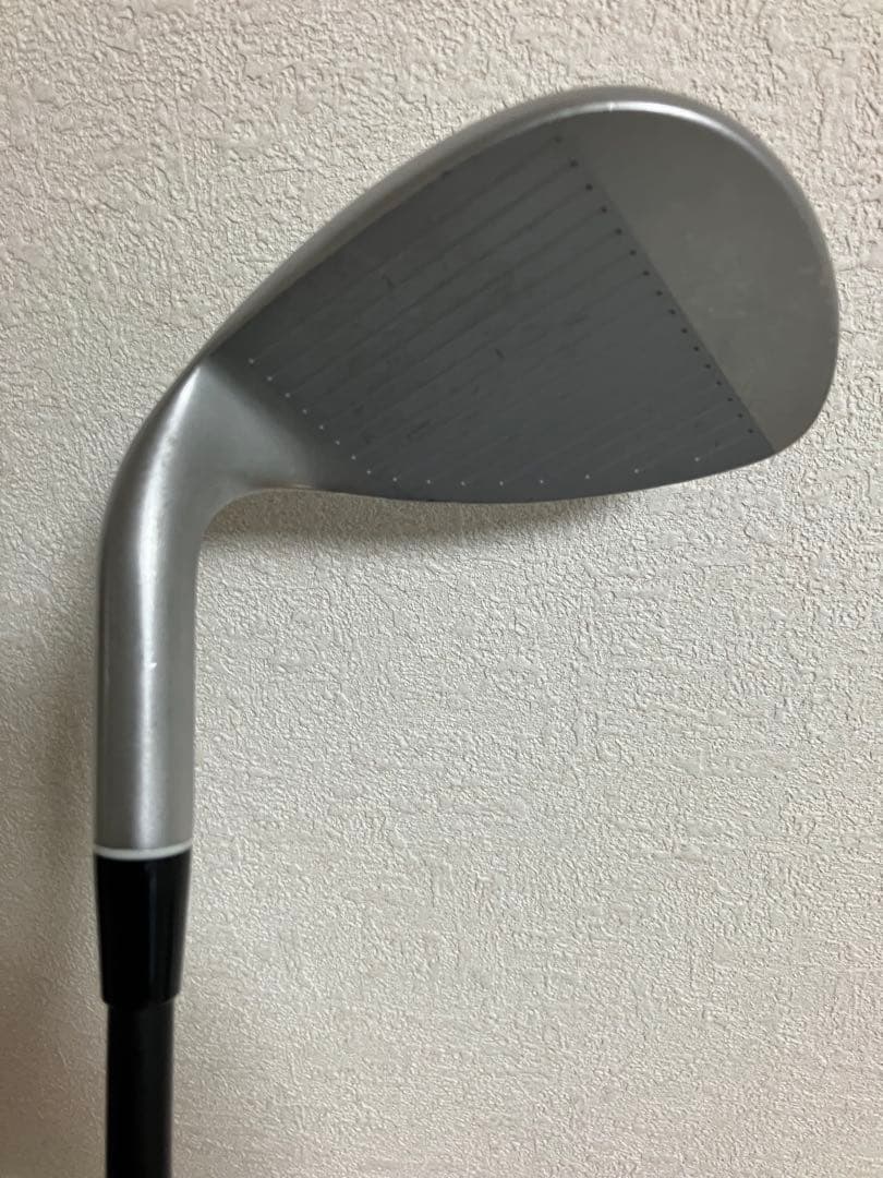 フォーテイーン Tk-53 ウェッジ(カーボンシャフト)