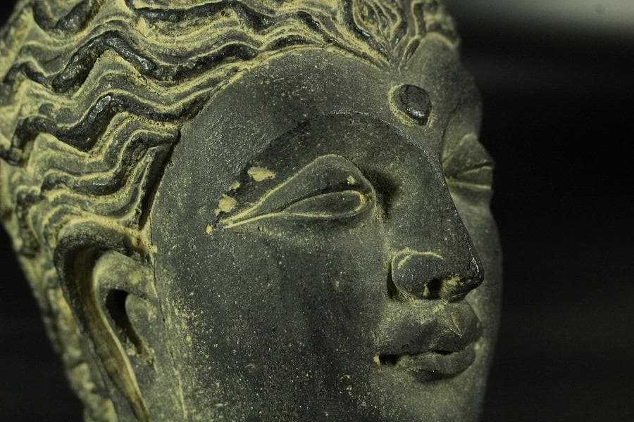 仏教美術 ガンダーラ仏頭(K-XA903)