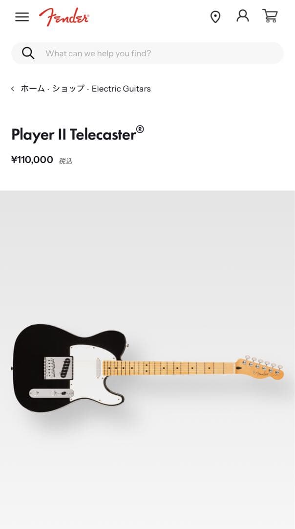 Fender player ii (値下げ交渉可)