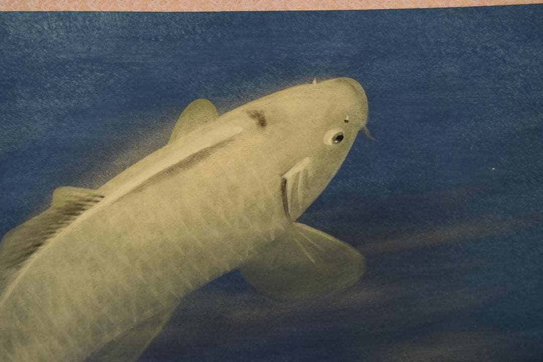 【真作】川村憲邦/鯉図/游鯉図/横物/掛軸☆宝船☆Z-685