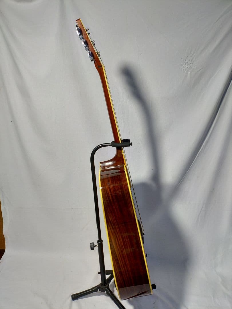 旧縦ロゴ MORRIS SPECIAL　５０