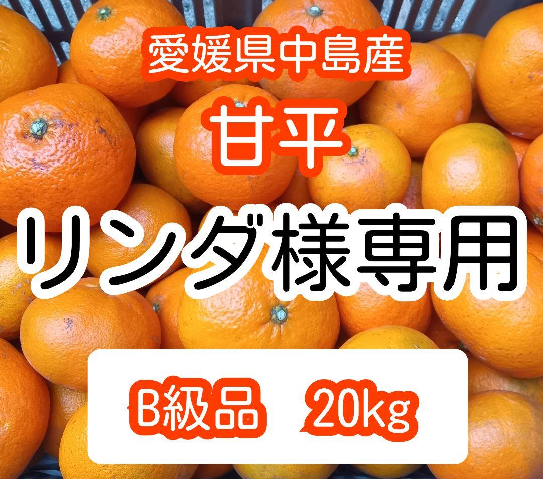 リンダ　甘平20kgB級