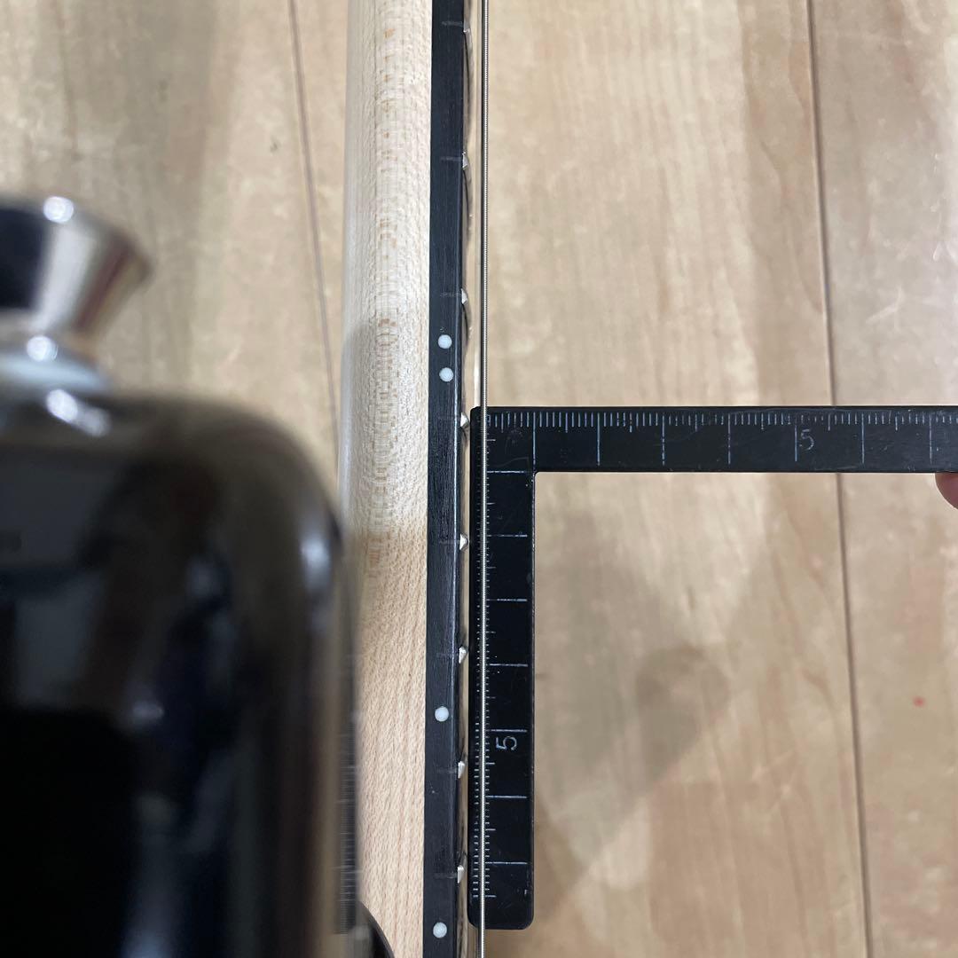 新型　フォトジェニック　ストラトキャスタータイプ　弦高調整済み　です