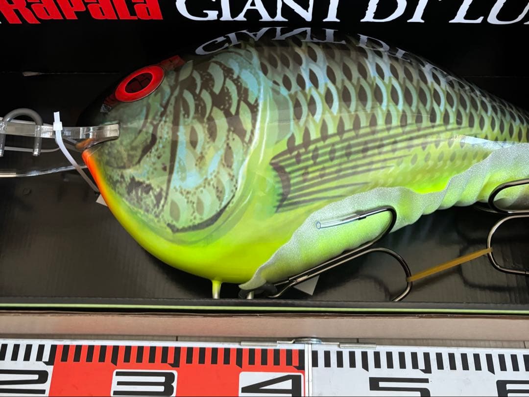 Rapala（ラパラ）GIANT DT LURE ビッグルアー 箱付き