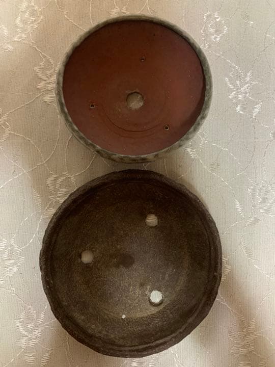 4点セット！（寿悦　松寿　柴勝…）