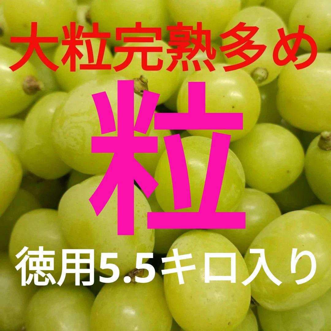 シャインマスカット大粒完熟多めの、徳用5.5キロ入りの粒バック入りになります。
