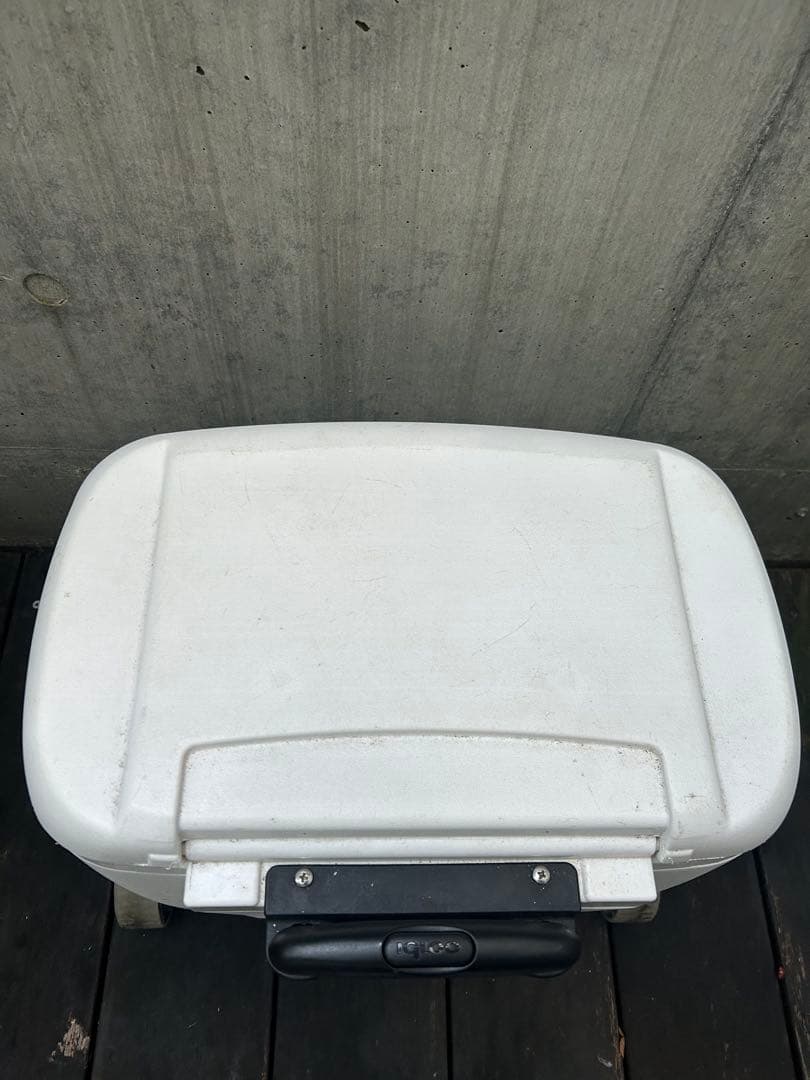 igloo ホワイト 白 クーラーボックス おしゃれ