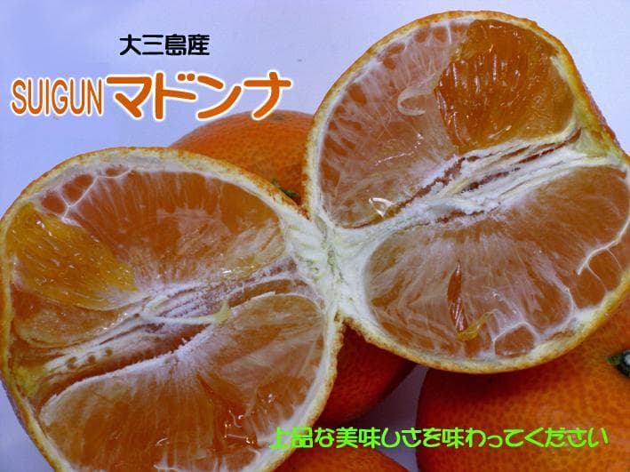 【ナイキ戦士】SUIGUNマドンナS10Kg：S6Kg　別々発送