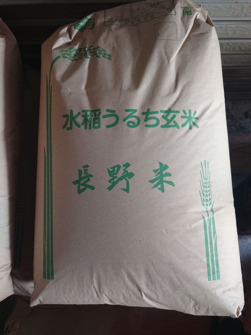 令和７年度産　長野県あづみ野産コシヒカリ　玄米30kg