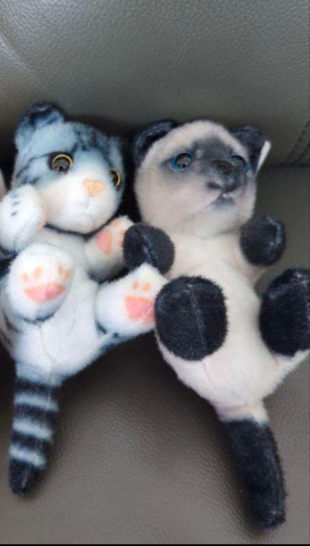 猫 つまんで マスコット ボールチェーン リアルアニマル とら猫 シャム猫