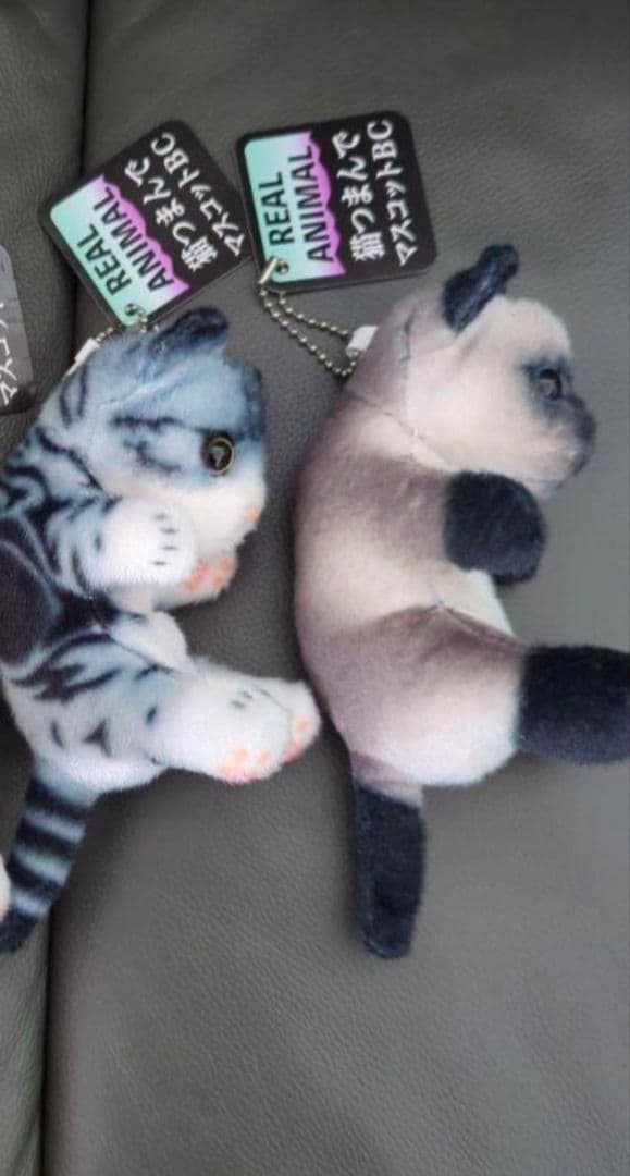 猫 つまんで マスコット ボールチェーン リアルアニマル とら猫 シャム猫