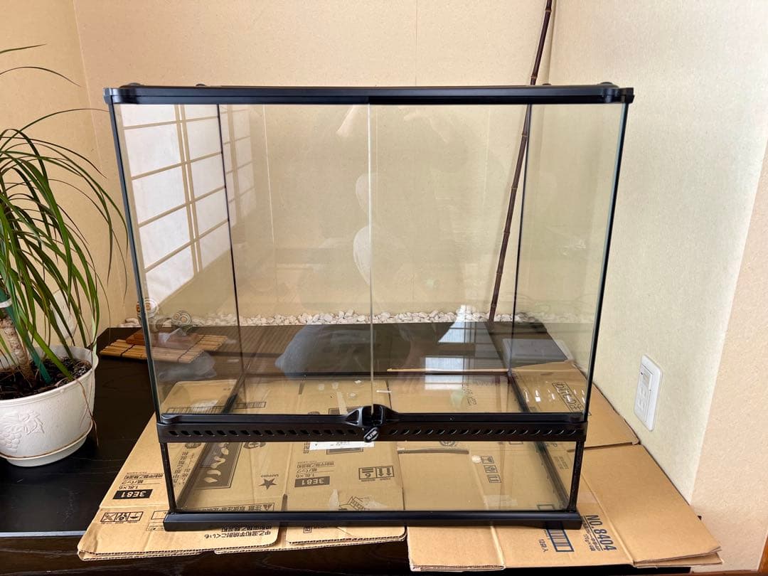 GEX EXOTERRA グラステラリウム6060