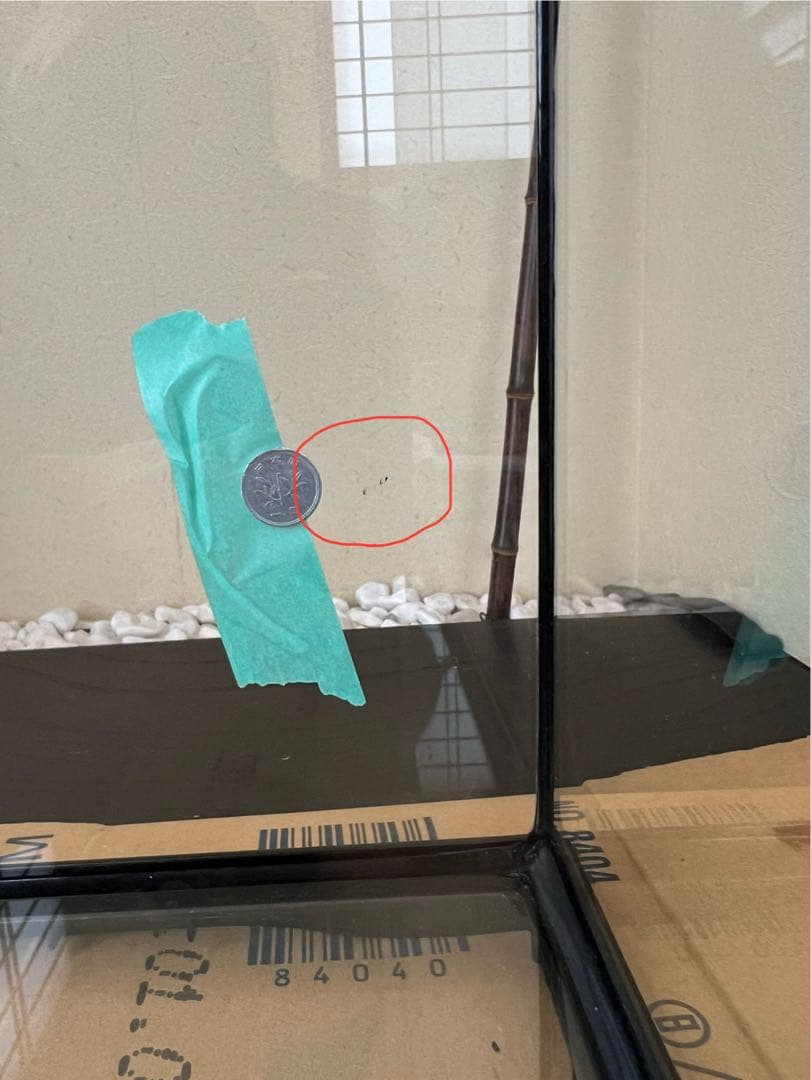 GEX EXOTERRA グラステラリウム6060