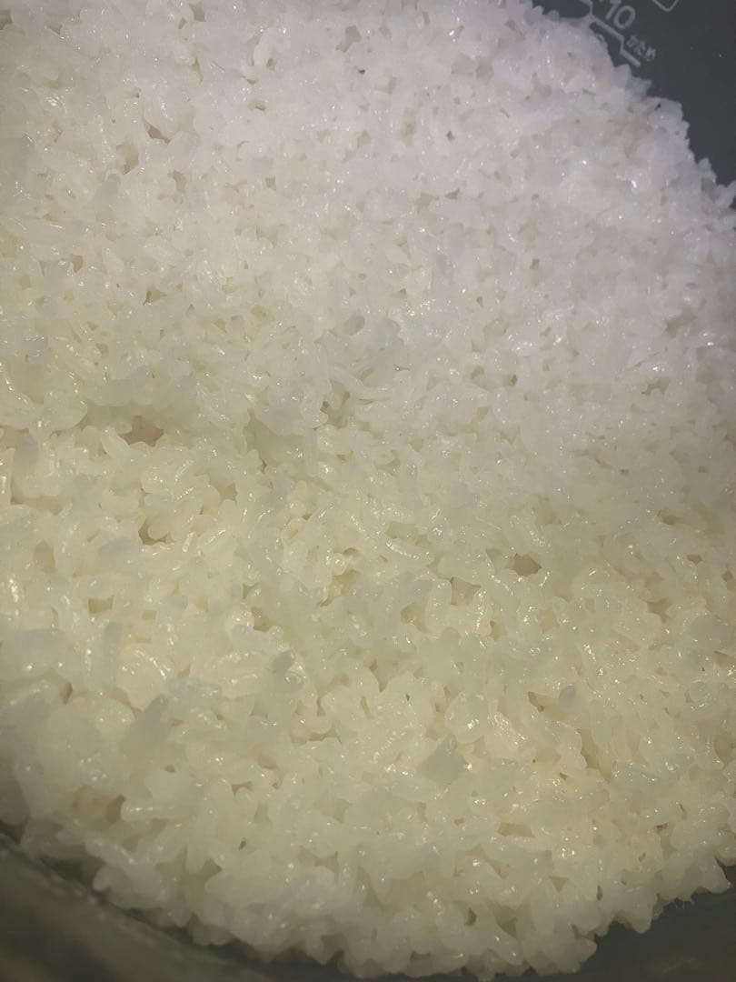 令和7年産【丹波篠山コシヒカリ】玄米10kg 7年産も極上米/食味値87点