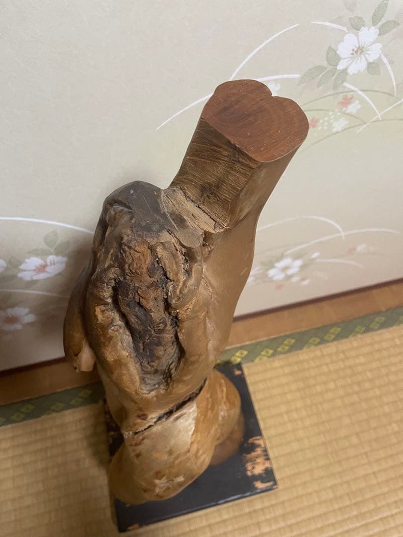 女体の形をした流木