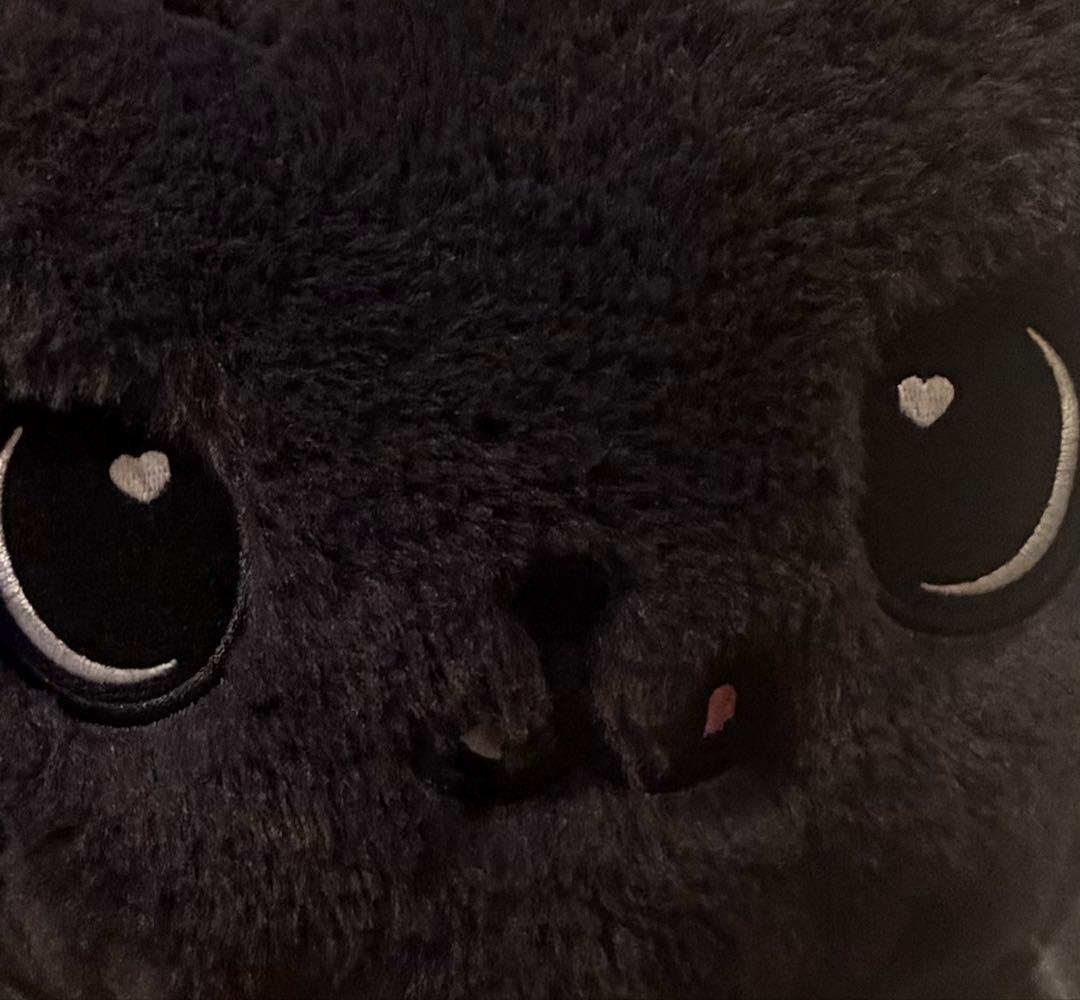 nctwish リク クリ キャラクターバッグ ソウルコン MD カバン