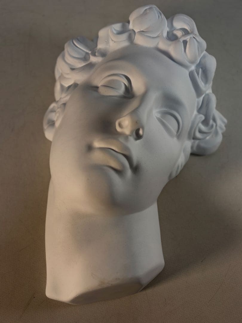 石膏像　メディチ　デッサン　半面像　美術　絵画　オブジェ　彫刻　アート