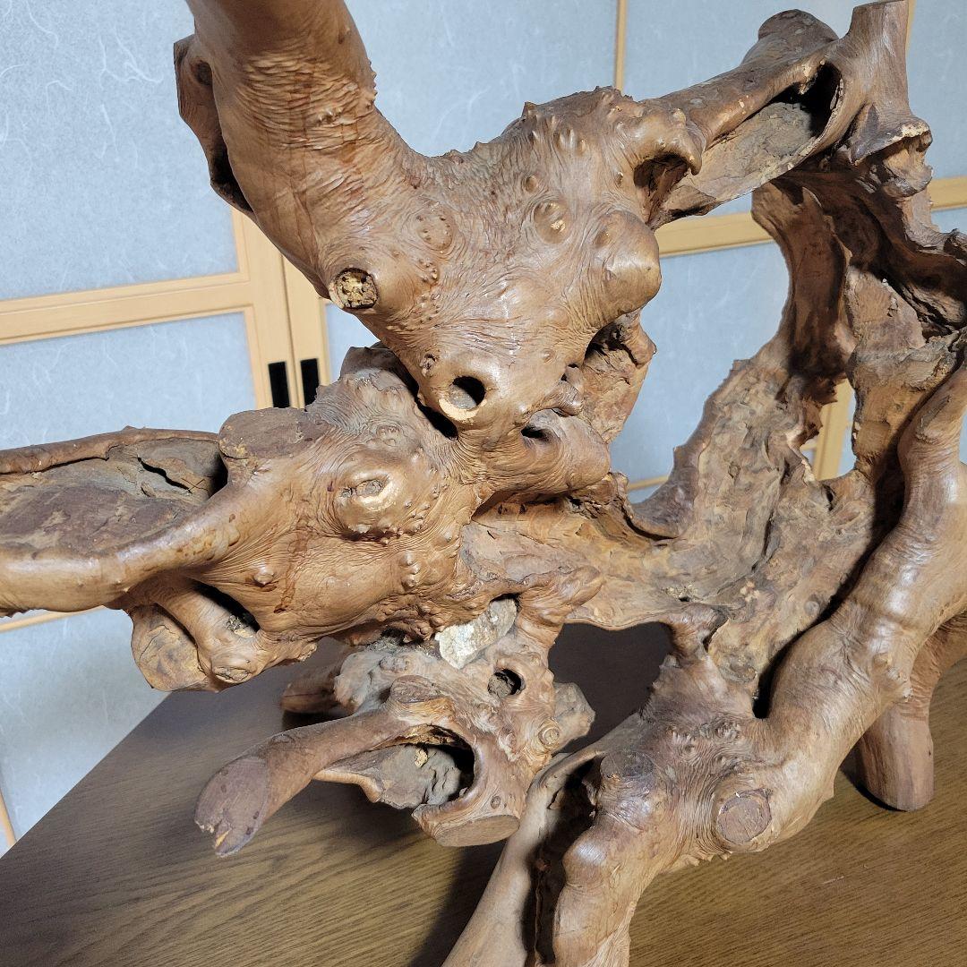 自然木 天然木 木根瘤造形 木根工芸 　オブジェ