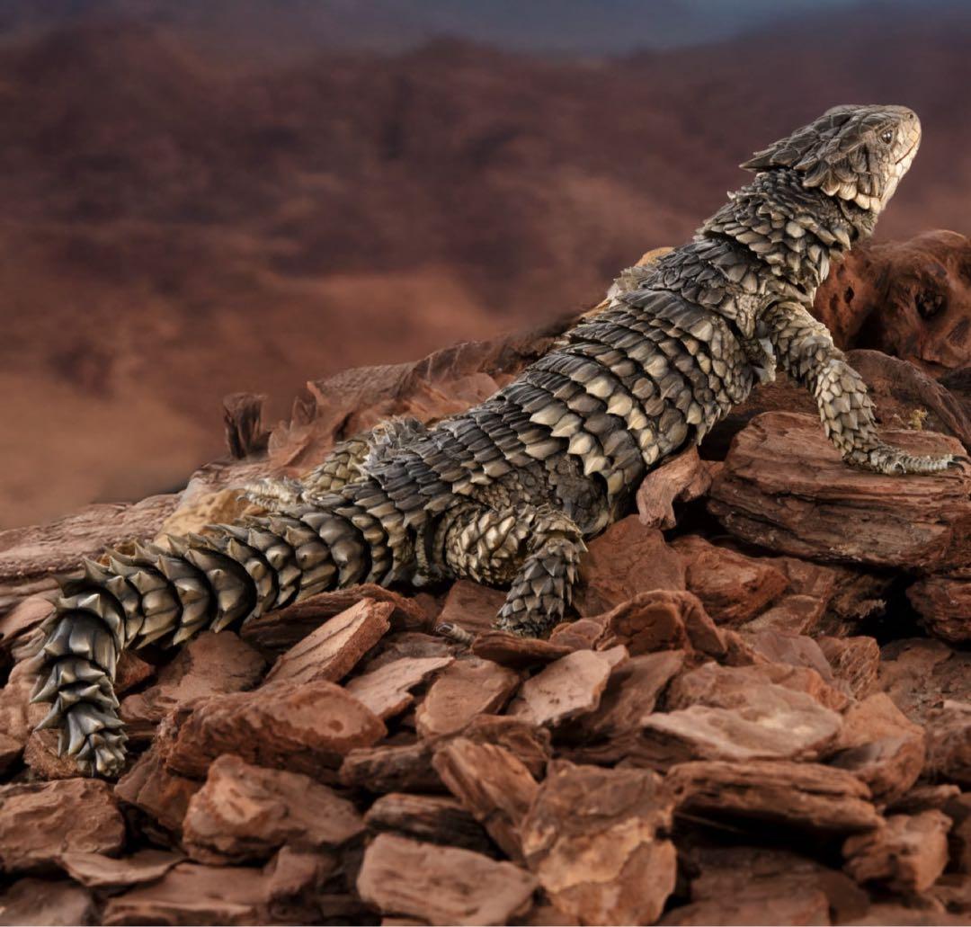 いきもの大図鑑アルティメット オオヨロイトカゲ 新品未開封 ④