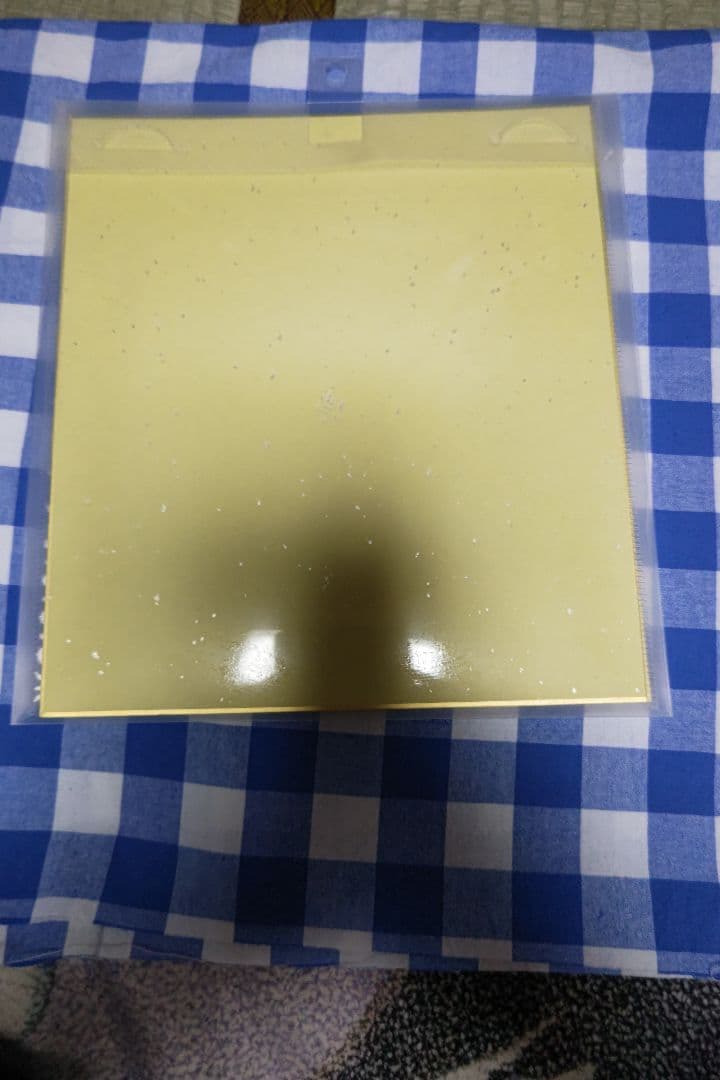 この素晴らしい世界に祝福を！ アクア「雨宮天」直筆サイン