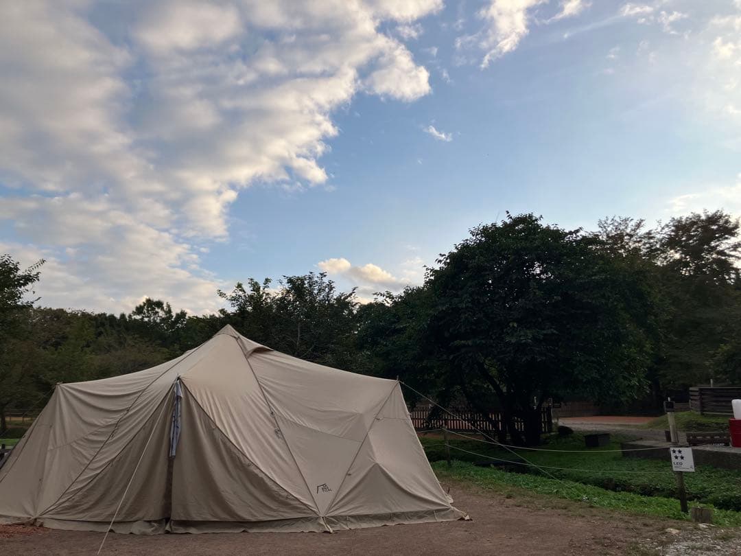 サバティカル スカイパイロットTC