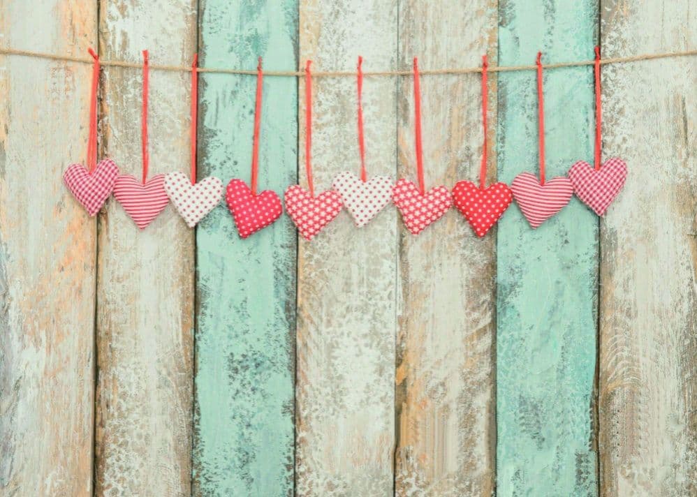 バレンタイン背景布【ハートC】サンプル　ペット撮影用　トリミングチョーカー販売中