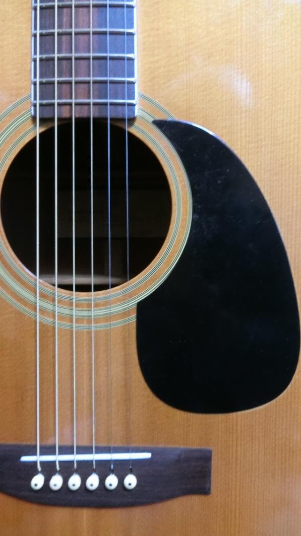 ❤️弦高調整!❤️新フレット「鈴木楽器 F-150R」❤️レトロな珍品ペグとロゴ