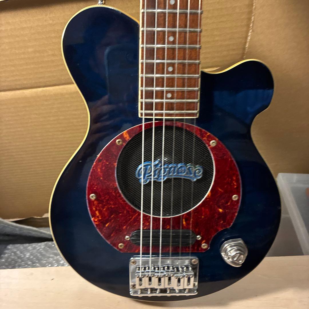 ピグノーズPGG259青