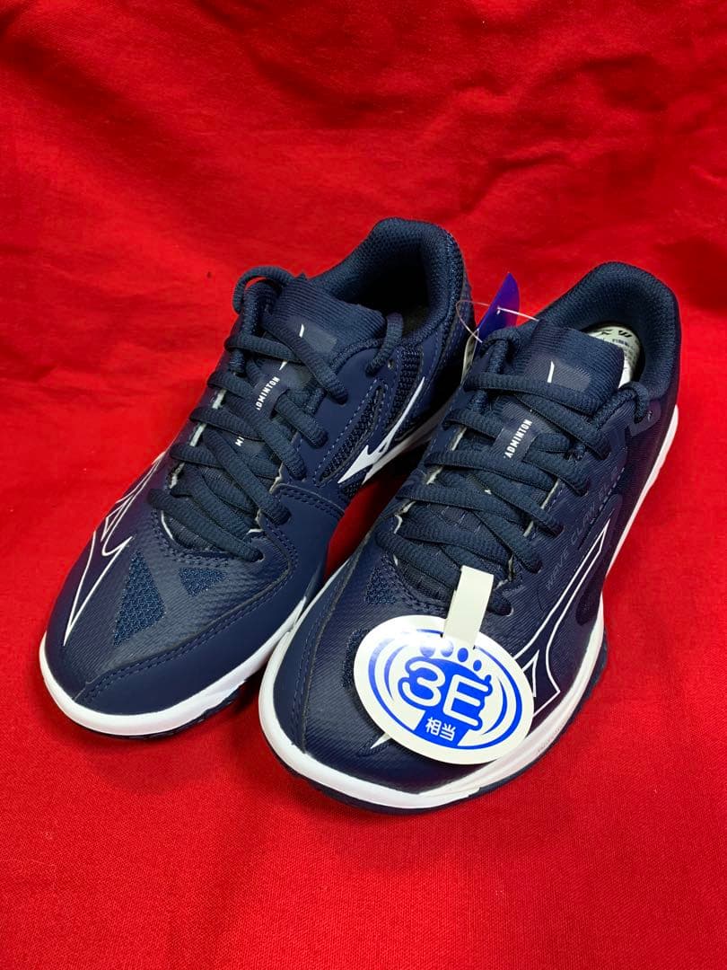 71GA258366 22.0cm バドミントン ミズノ シューズ