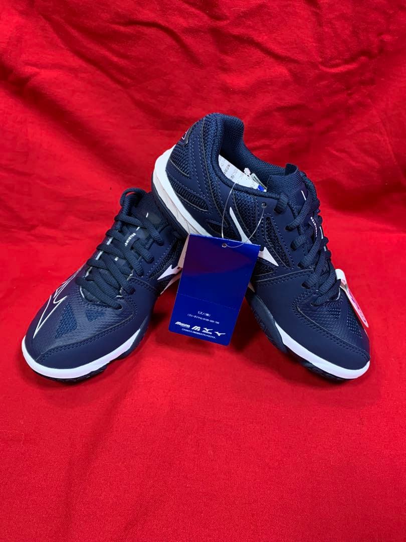 71GA258366 22.0cm バドミントン ミズノ シューズ