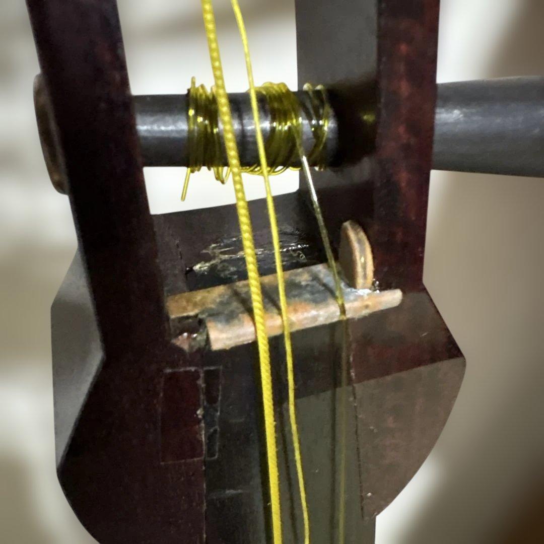 三味線　綾杉胴　和楽器　バチ　撥　弦　駒　ケース　金ボソ