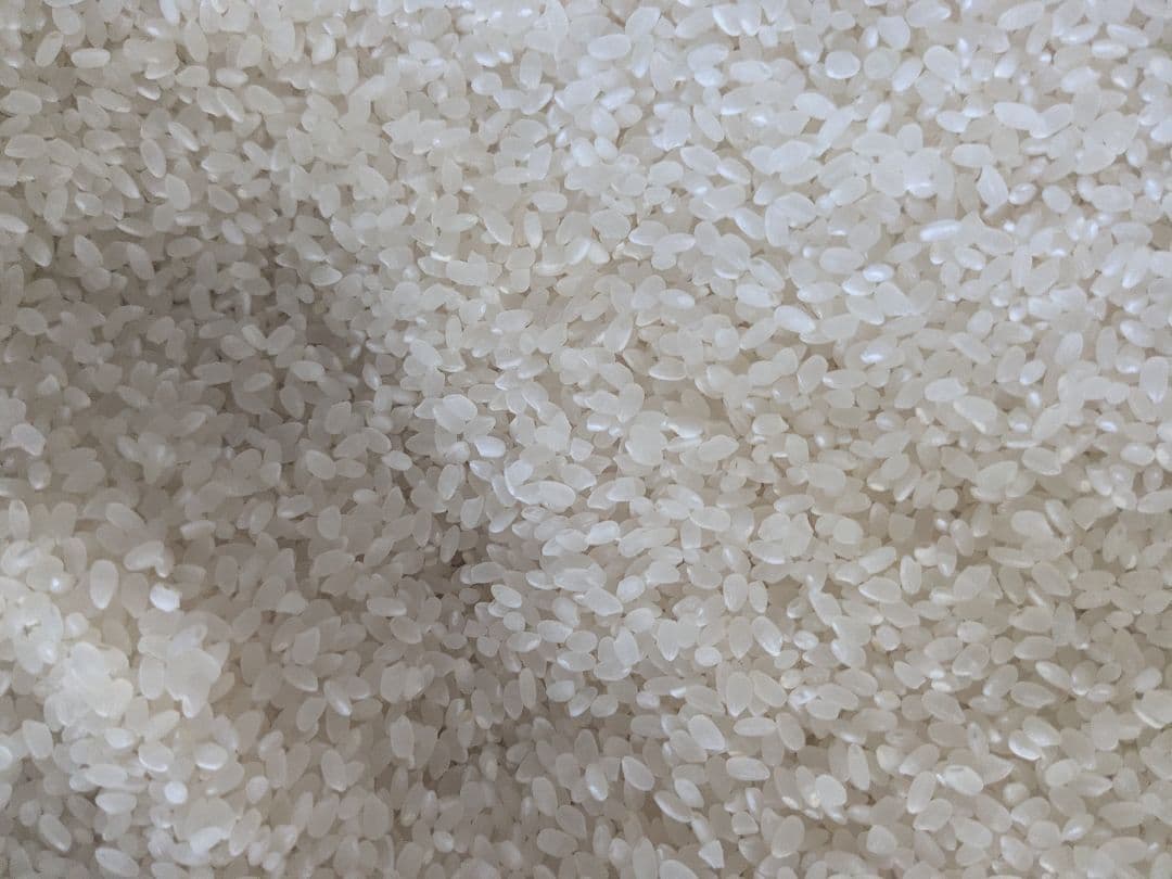 令和七年度産 岩手県産 銀河のしずく 10kg