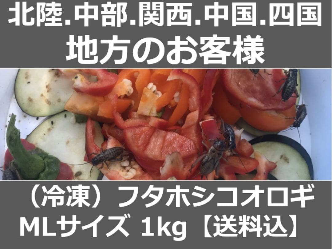 ◾️カリスマ♪♪商品◾️ 冷凍コオロギ1kg M・Lサイズ　フタホシコオロギ