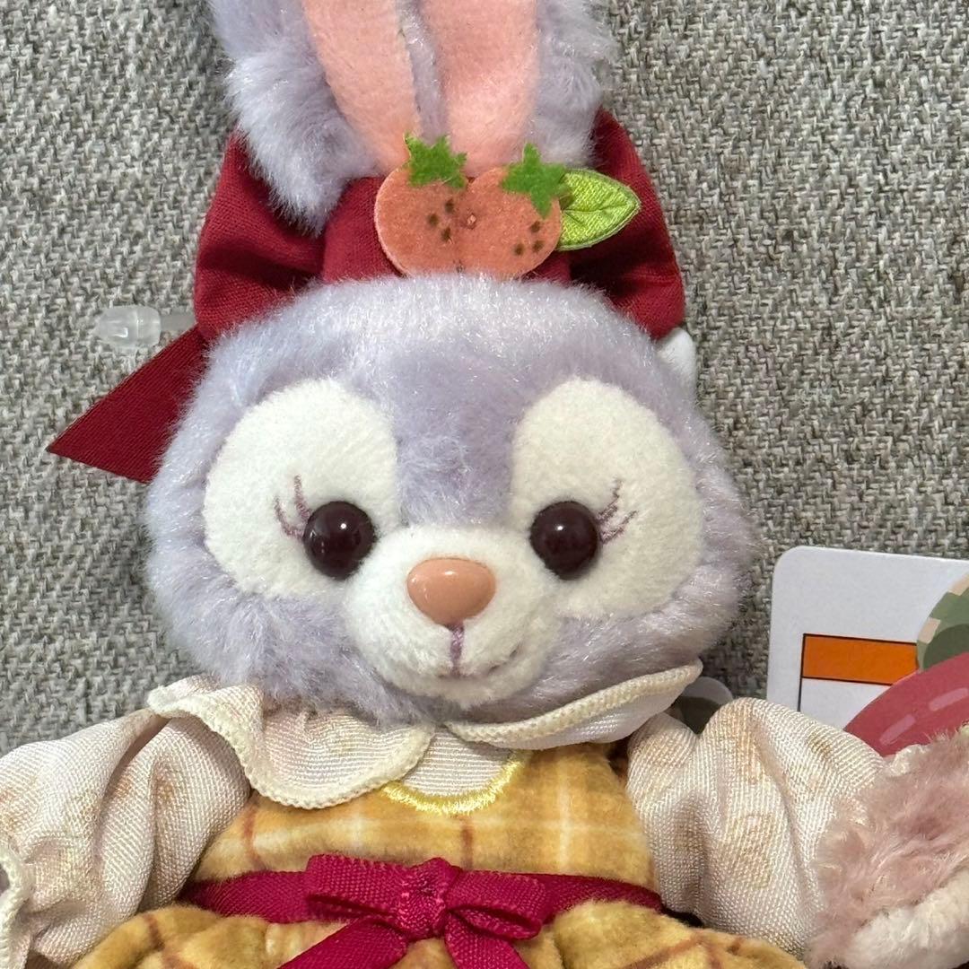 東京ディズニーシー　ハートフェルトストロベリーギフト　ぬいぐるみバッジセット