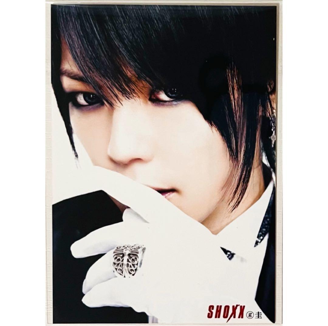 V系★BAROQUE【圭】SHOXX★ブロマイド★生写真★アー写