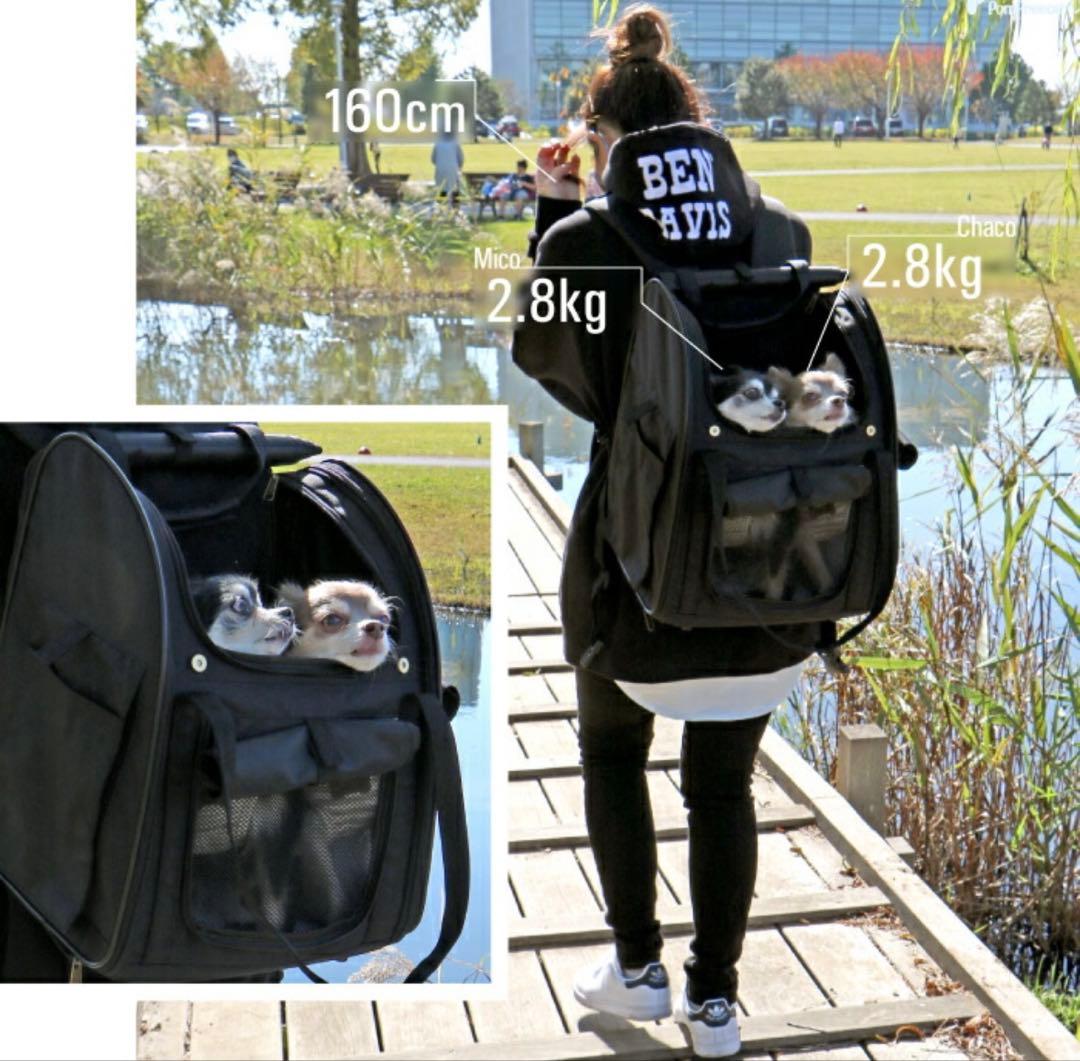 3WAYタッチイン リュック パノラマビュー ランドキャリー