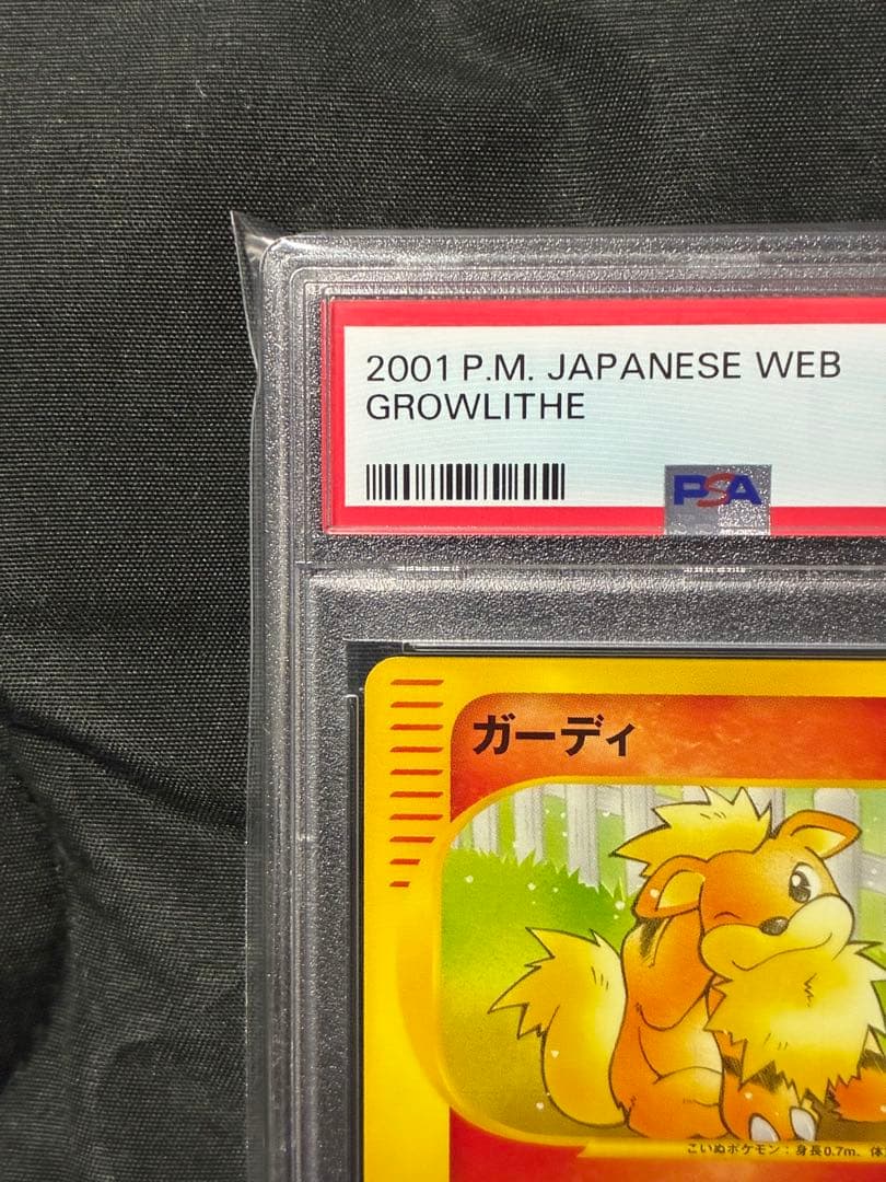 世界64枚 PSA10 ガーディ カードe 2001 006 22