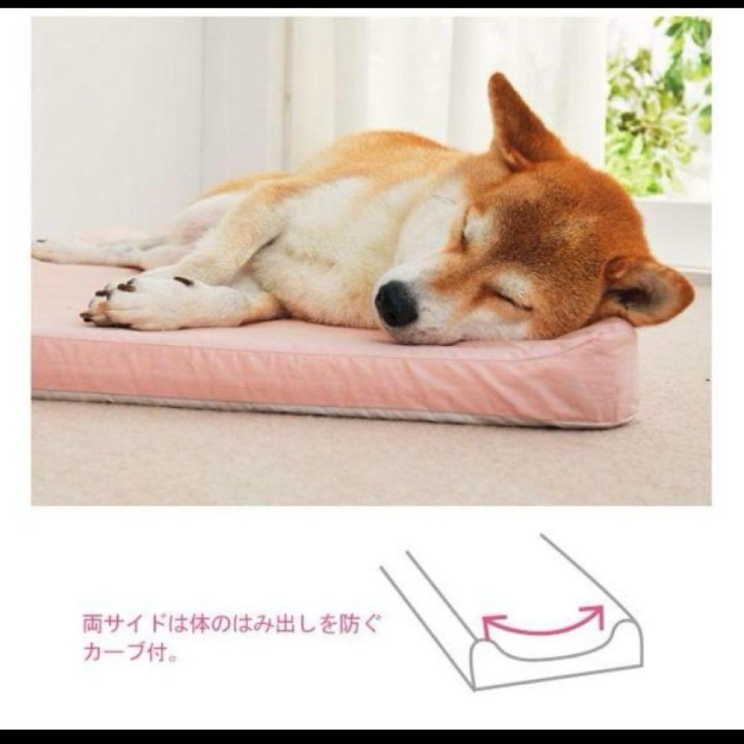 アルテア体圧分散マット　犬猫　ベッド　低反発　床ずれ予防　介護用マット Mサイズ