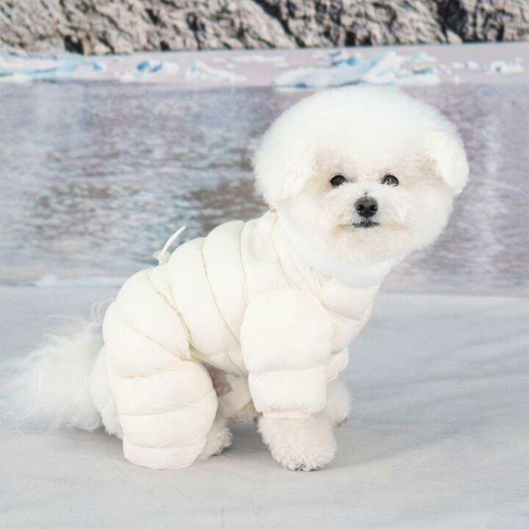 puppia パピア ベロアソフトオールインワンジャンパー　Sサイズ