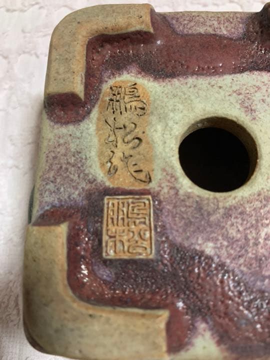 盆栽鉢　原茂 鵬松