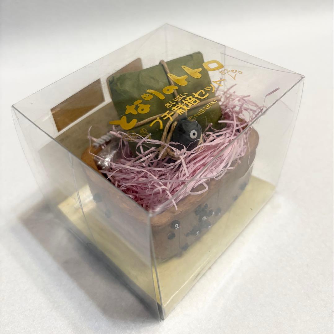 となりのトトロ プチ栽培セット ヒメコスモス (壁) スタジオジブリ