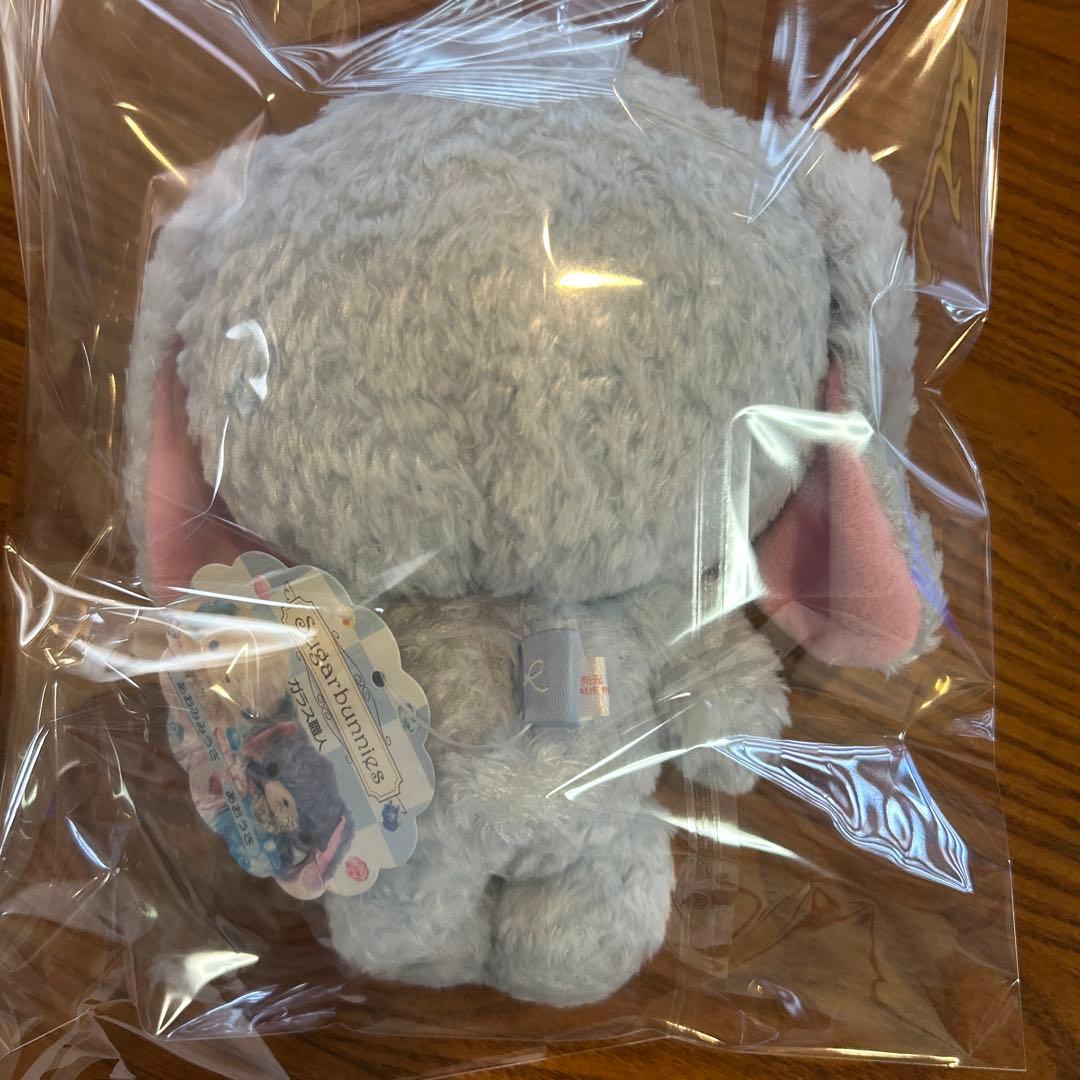 ⭐︎シュガーバニーズ　あおうさ＆あおみみうさ