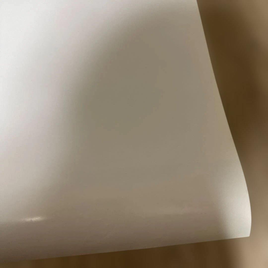 非売品❗️ゼルダの伝説 トワイライトプリンセス ポスター