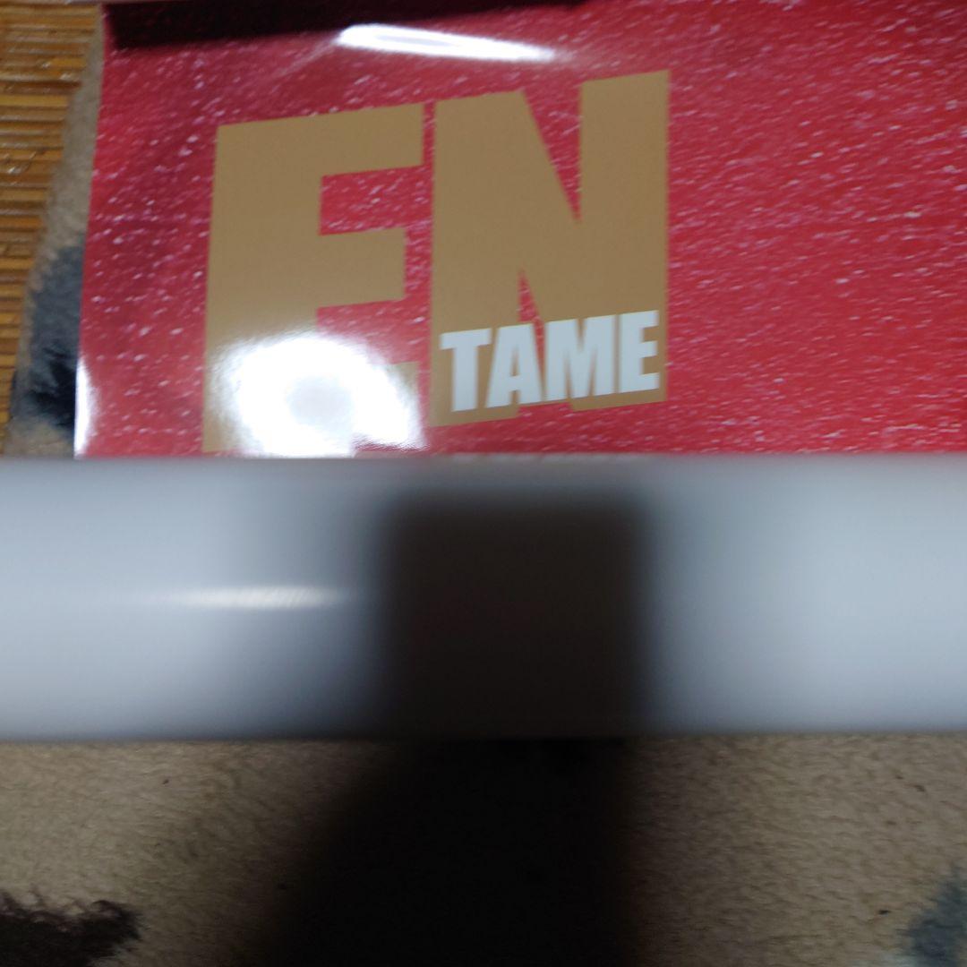 吉木りさゴールド水着等身大ポスター