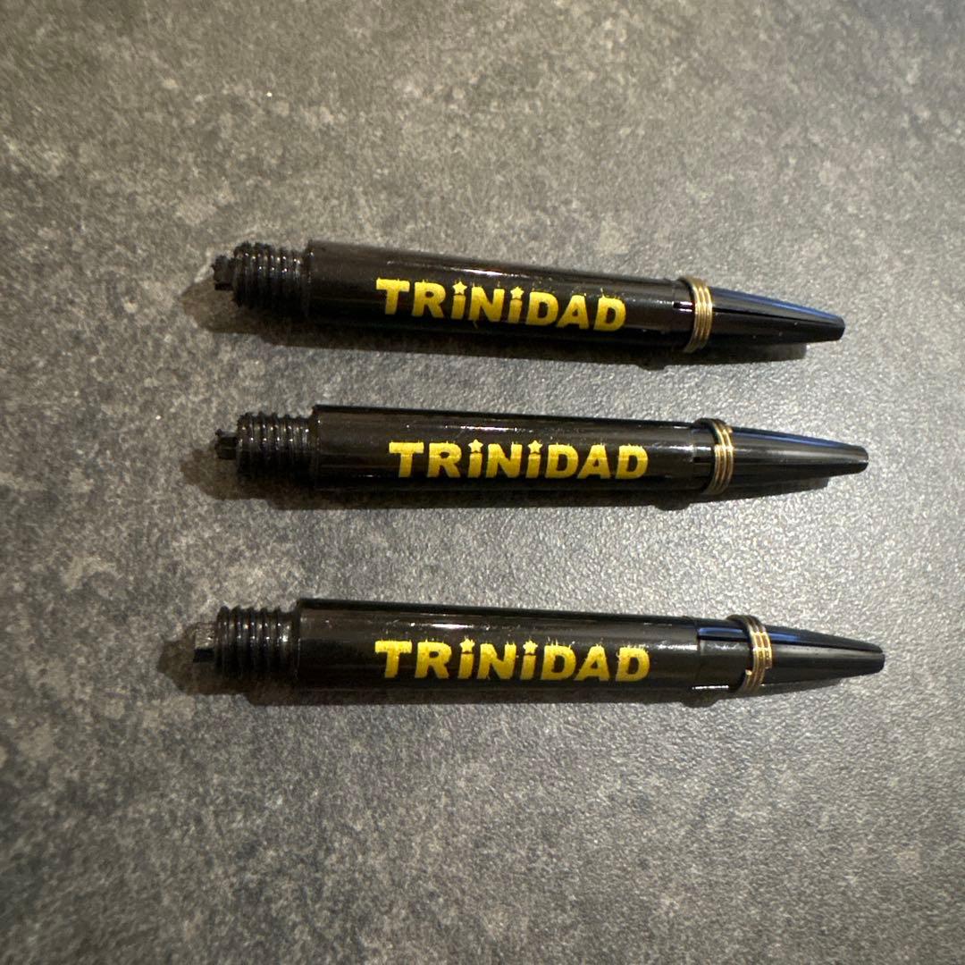 RICARDO α Steel ダーツ ハード トリニダード 浅田斉吾モデル