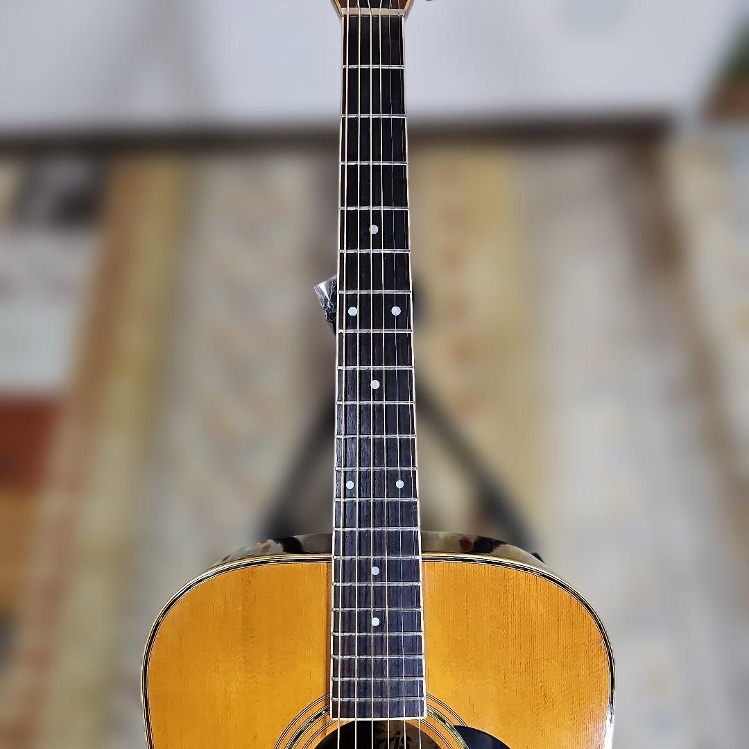 モーリスE-40エレアコヴィンテージ ソフトケース付き